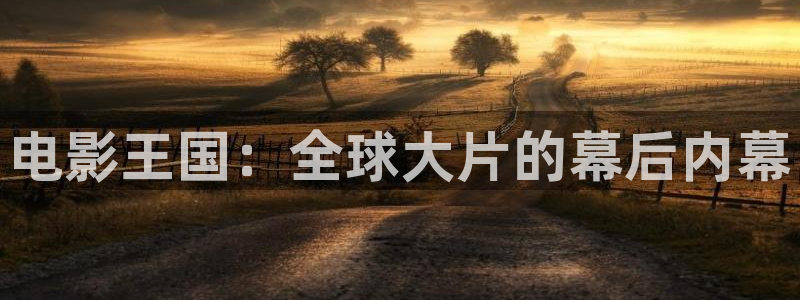 茄子视频 magnet：电影王国：全球大片的幕后内幕