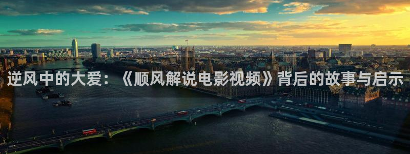 茄子视频一：逆风中的大爱：《顺风解说电影视频》背后的故事与启示