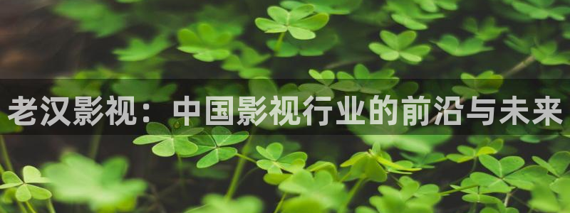 丝瓜茄子视频在线观看：老汉影视：中国影视行业的前沿与未来