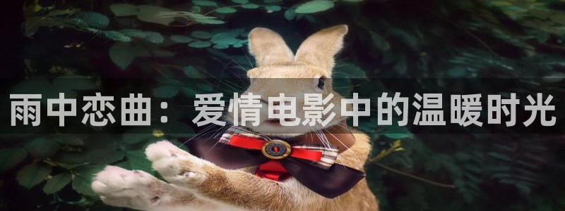 茄子视频色版：雨中恋曲：爱情电影中的温暖时光