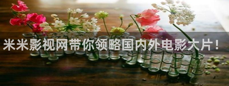 茄子视频色版：米米影视网带你领略国内外电影大片！