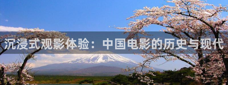 茄子视频a：沉浸式观影体验：中国电影的历史与现代