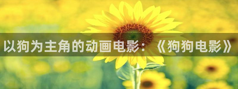 茄子视频?：以狗为主角的动画电影：《狗狗电影》
