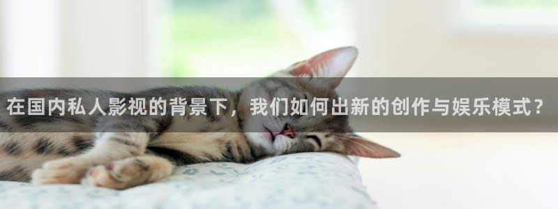 qiezi 茄子视频：在国内私人影视的背景下，我们如何出新的创作与娱乐模式？