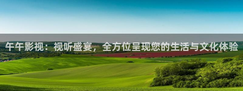 小优视频茄子视频：午午影视：视听盛宴，全方位呈现您的生活与文化体验