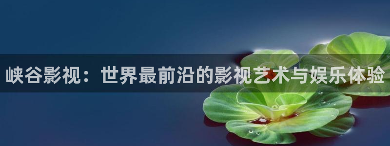 茄子视频?：峡谷影视：世界最前沿的影视艺术与娱乐体验