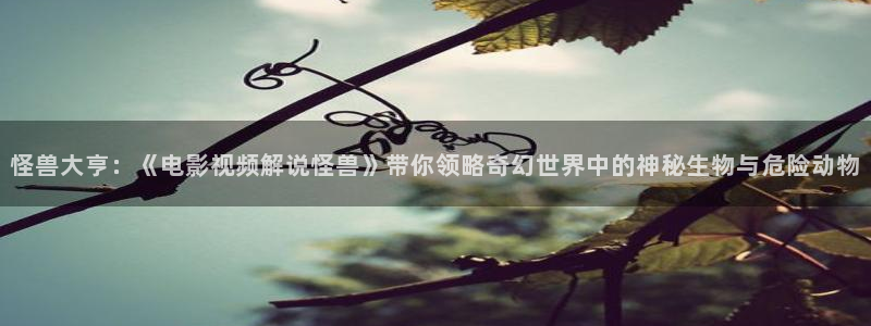 茄子视频色版：怪兽大亨：《电影视频解说怪兽》带你领略奇幻世界中的神秘生物与危险动物