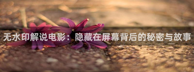 茄子视频视频：无水印解说电影：隐藏在屏幕背后的秘密与故事