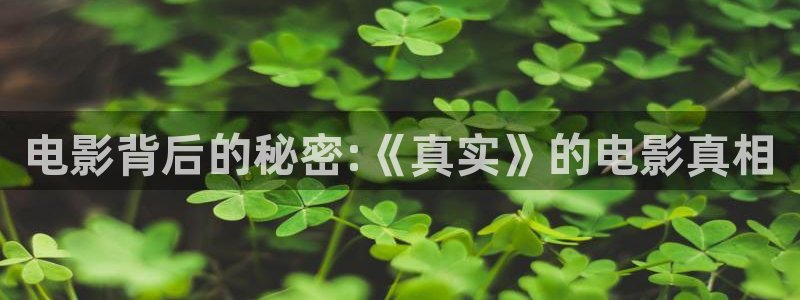 茄子视频qz：电影背后的秘密:《真实》的电影真相