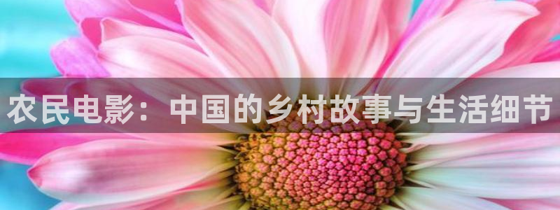 qiezi茄子视频：农民电影：中国的乡村故事与生活细节