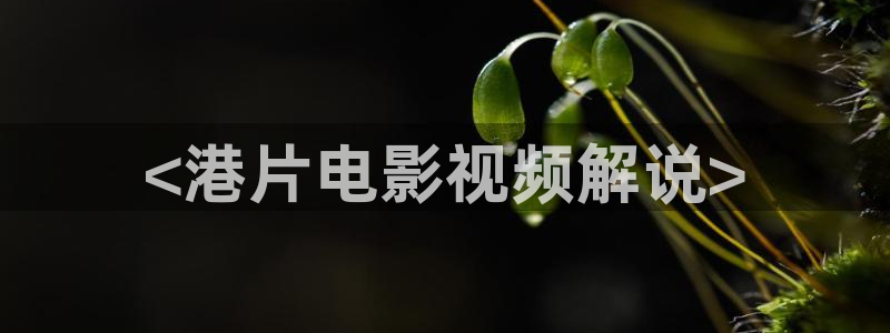 大茄子视频