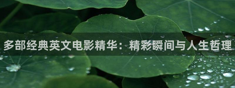 qiezi 茄子视频