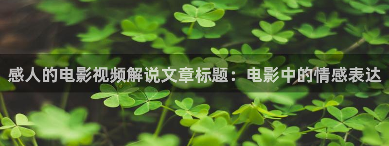 茄子视频