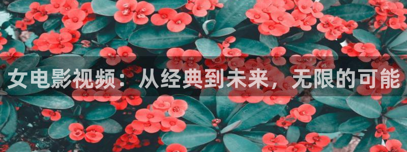 茄子视频www