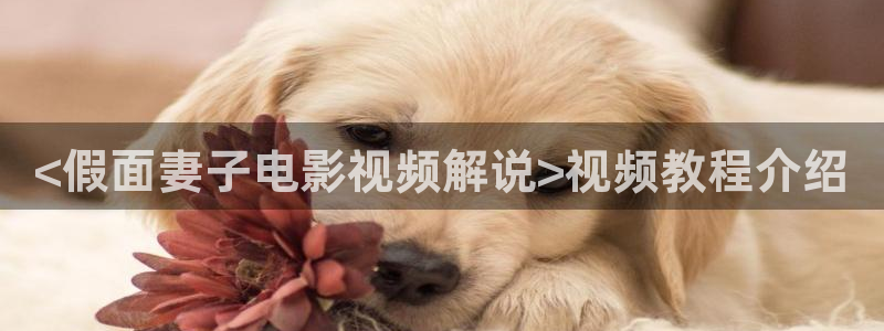 茄子视频18：<假面妻子电影视频解说>视频教程介绍