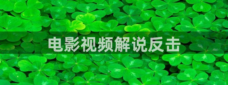茄子视频18：电影视频解说反击