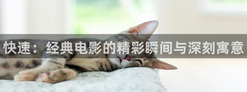 四虎茄子视频：快速：经典电影的精彩瞬间与深刻寓意