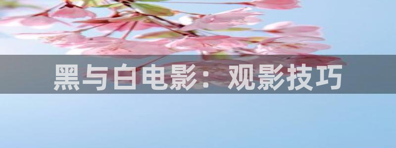 茄子视频无限看丝瓜视频丝瓜视免费观看：黑与白电影：观影技巧