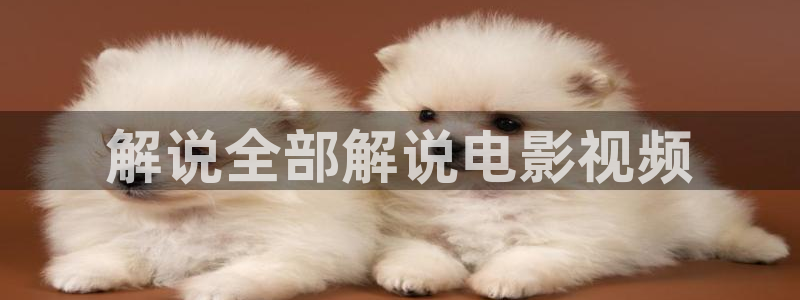 大茄子视频：解说全部解说电影视频