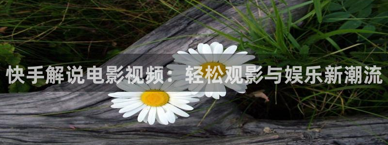 茄子视频www：快手解说电影视频：轻松观影与娱乐新潮流