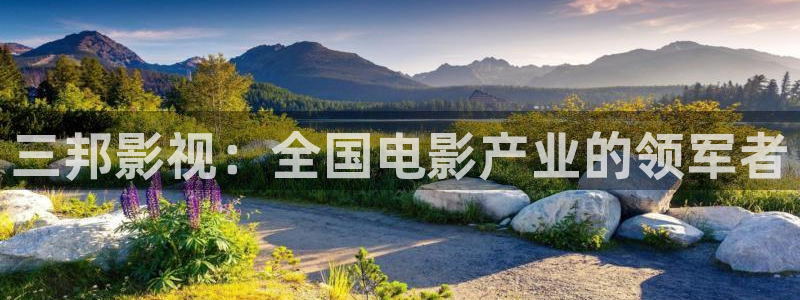 大茄子视频：三邦影视：全国电影产业的领军者