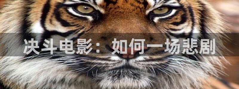 小优视频茄子视频：决斗电影：如何一场悲剧