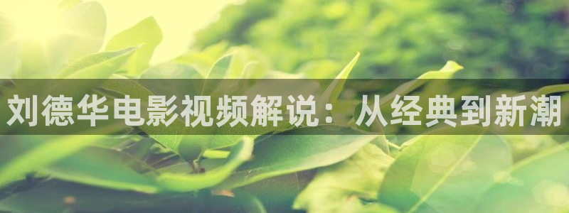 四虎茄子视频：刘德华电影视频解说：从经典到新潮
