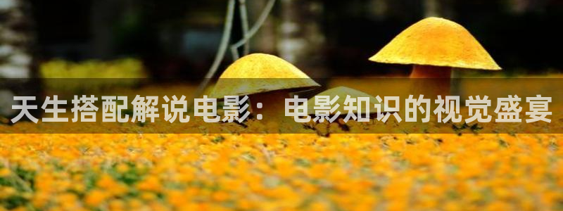 樱花视频茄子视频：天生搭配解说电影：电影知识的视觉盛宴