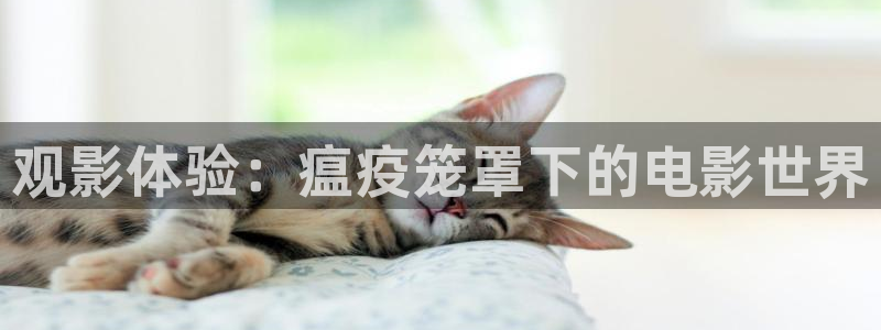 小优视频茄子视频：观影体验：瘟疫笼罩下的电影世界