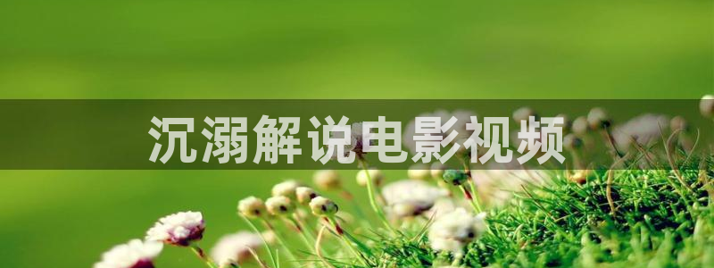 qiezi茄子视频：沉溺解说电影视频
