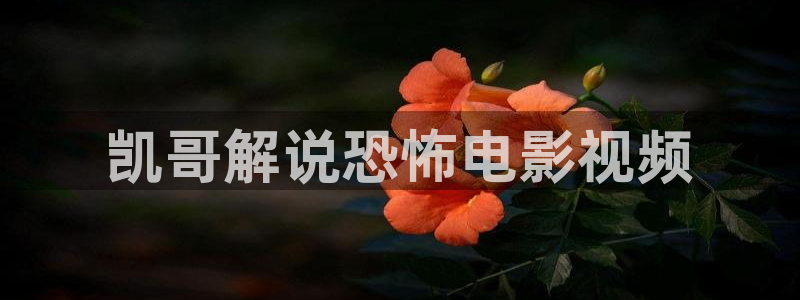 大茄子视频：凯哥解说恐怖电影视频