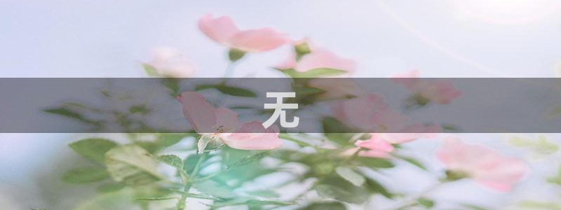 丝瓜茄子视频在线观看：无