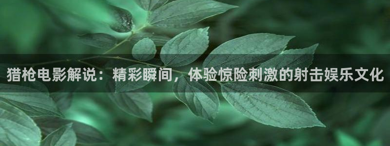 茄子视频?：猎枪电影解说：精彩瞬间，体验惊险刺激的射击娱乐文化
