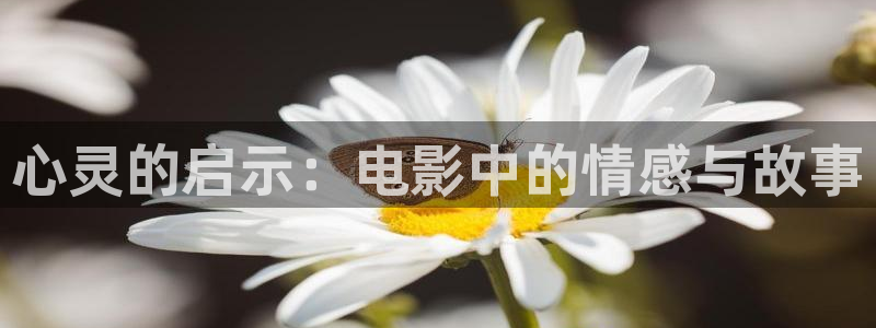茄子视频了：心灵的启示：电影中的情感与故事