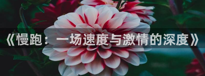 四虎茄子视频：《慢跑：一场速度与激情的深度》