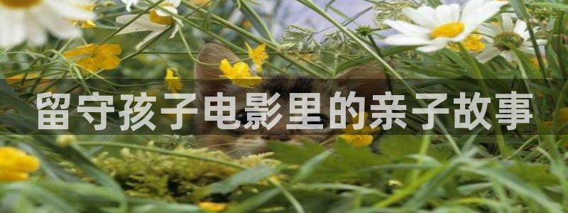 大茄子视频