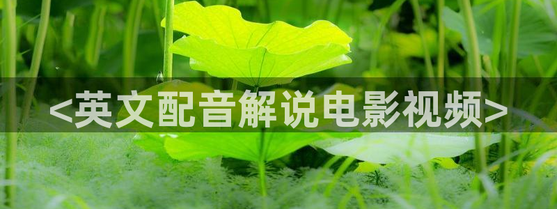 茄子视频无限看丝瓜视频丝瓜视免费观看：<英文配音解说电影视频>