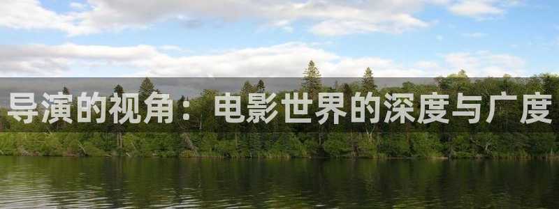 茄子视频?：导演的视角：电影世界的深度与广度