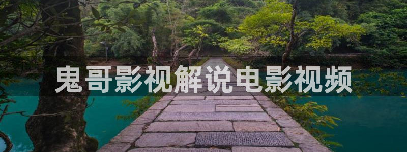 茄子视频了：鬼哥影视解说电影视频