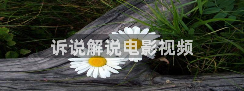 茄子视频a：诉说解说电影视频