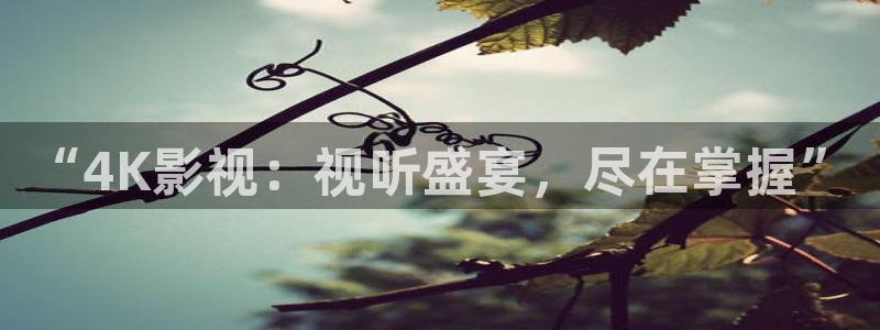 qiezi茄子视频：“4K影视：视听盛宴，尽在掌握”