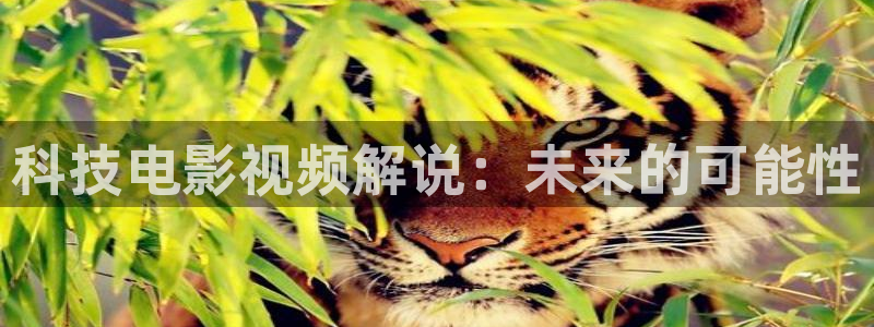 茄子视频 magnet：科技电影视频解说：未来的可能性