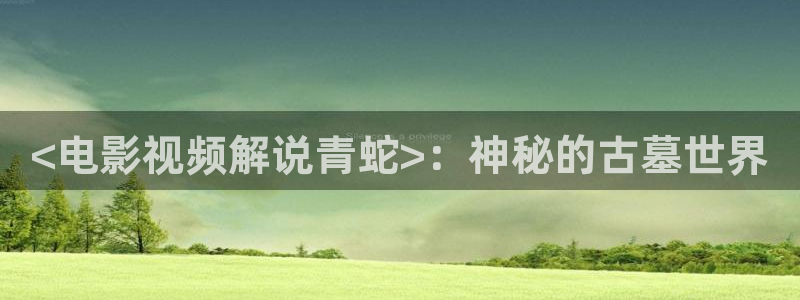 小优视频茄子视频：<电影视频解说青蛇>：神秘的古墓世界