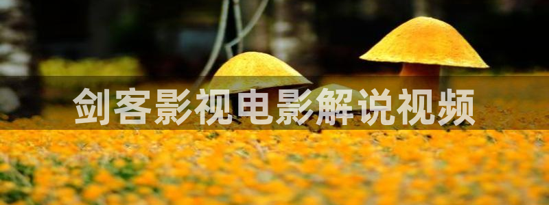 茄子视频?：剑客影视电影解说视频