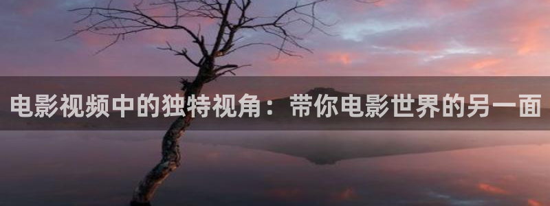 茄子视频视频：电影视频中的独特视角：带你电影世界的另一面