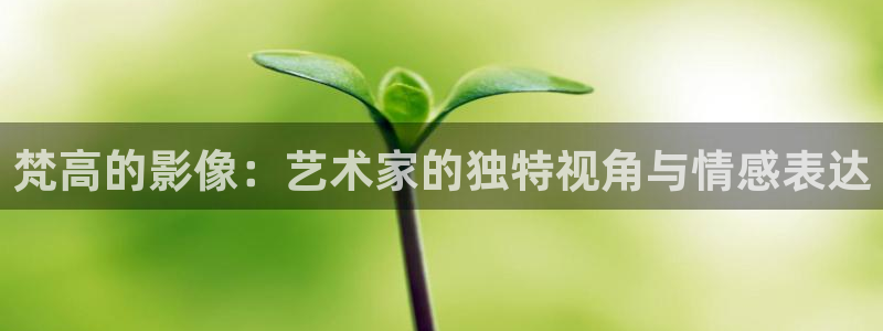 樱桃茄子视频：梵高的影像：艺术家的独特视角与情感表达