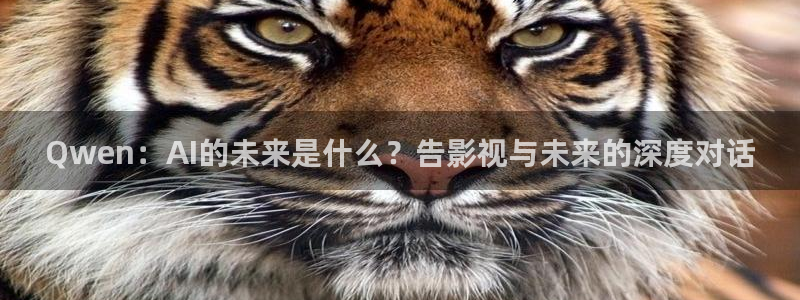 qiezi 茄子视频：Qwen：AI的未来是什么？告影视与未来的深度对话