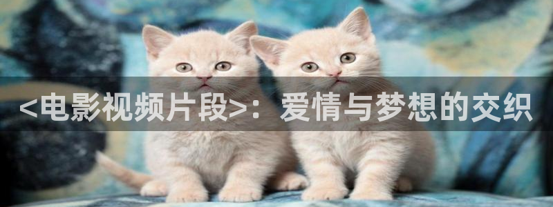 qiezi茄子视频：<电影视频片段>：爱情与梦想的交织